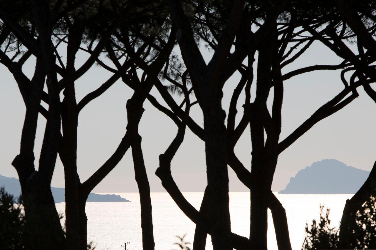 Pachamama Otel Boscotrecase Dış mekan fotoğraf